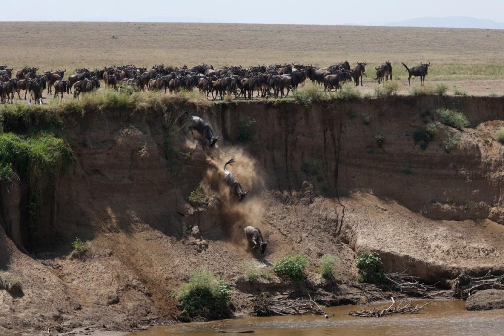 Best time to visit Tanzania