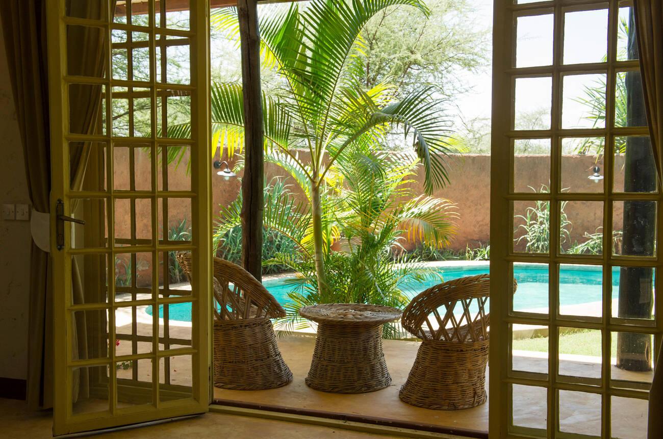 Luxury vs Budget Tanzania Safari