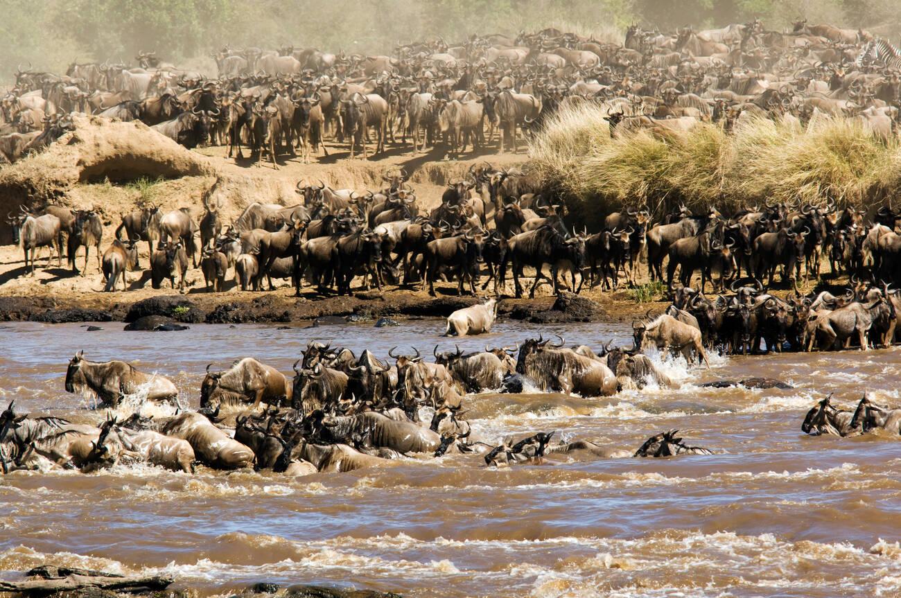Serengeti National Park tours