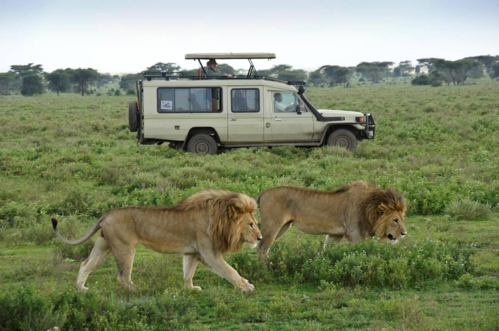 Serengeti National Park tours