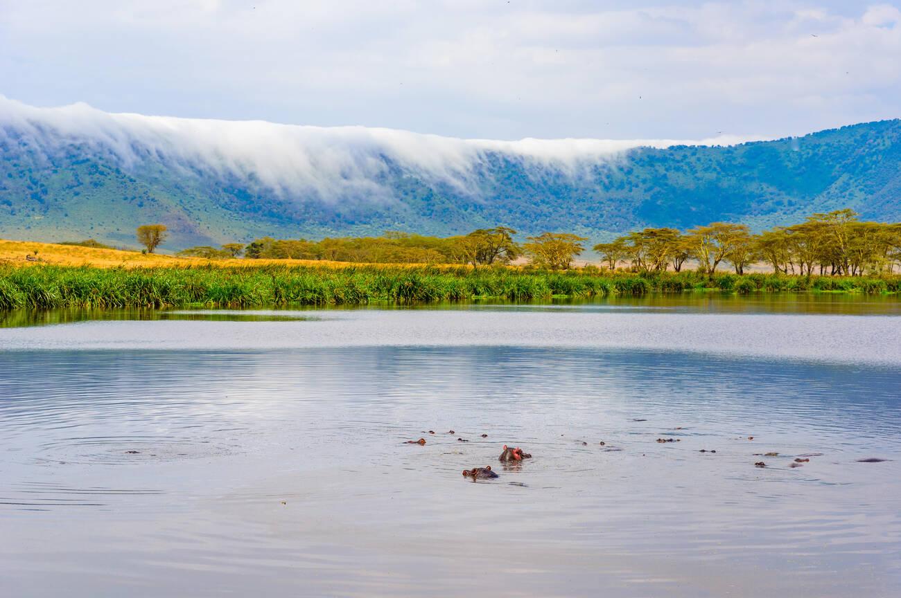 Ngorongoro Crater Safari