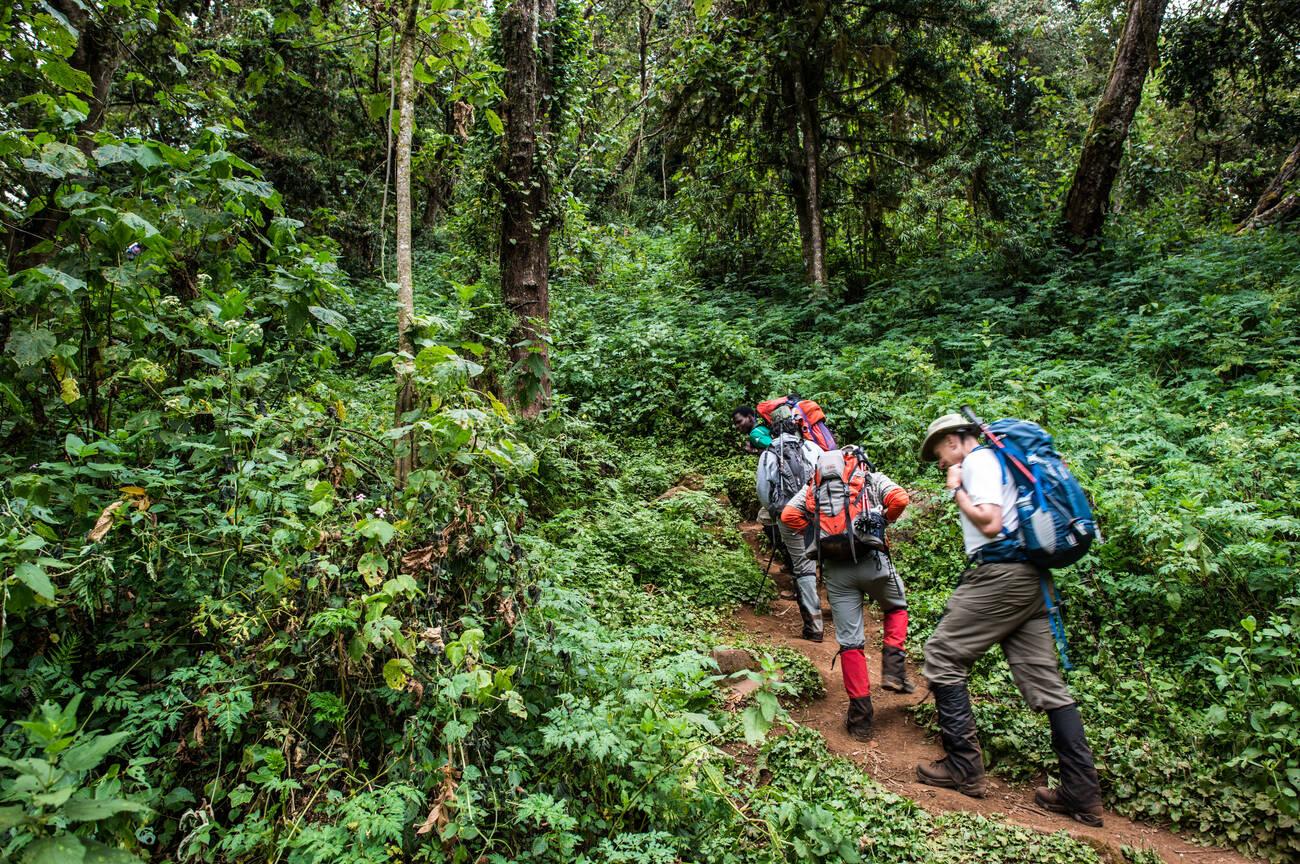 how long does it take to climb Kilimanjaro