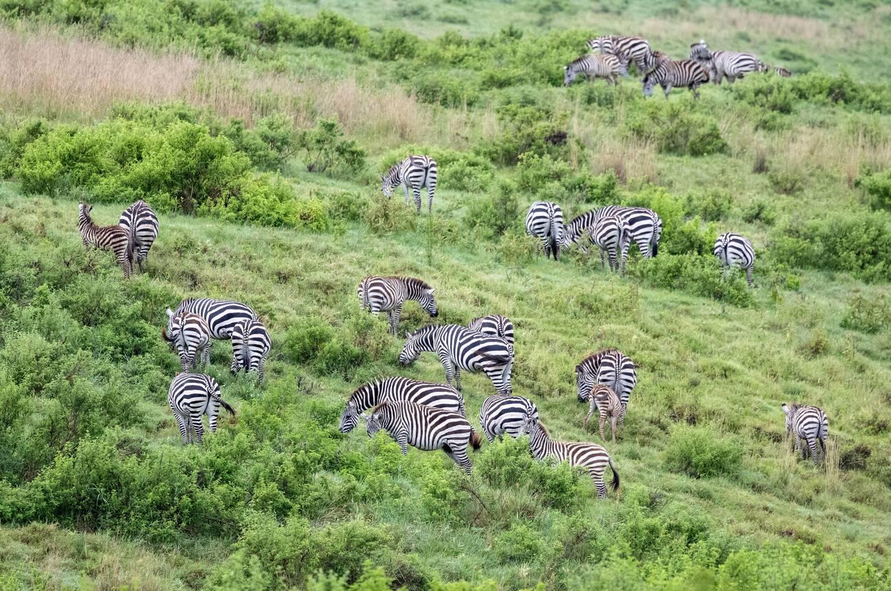 best time to visit Serengeti National Park