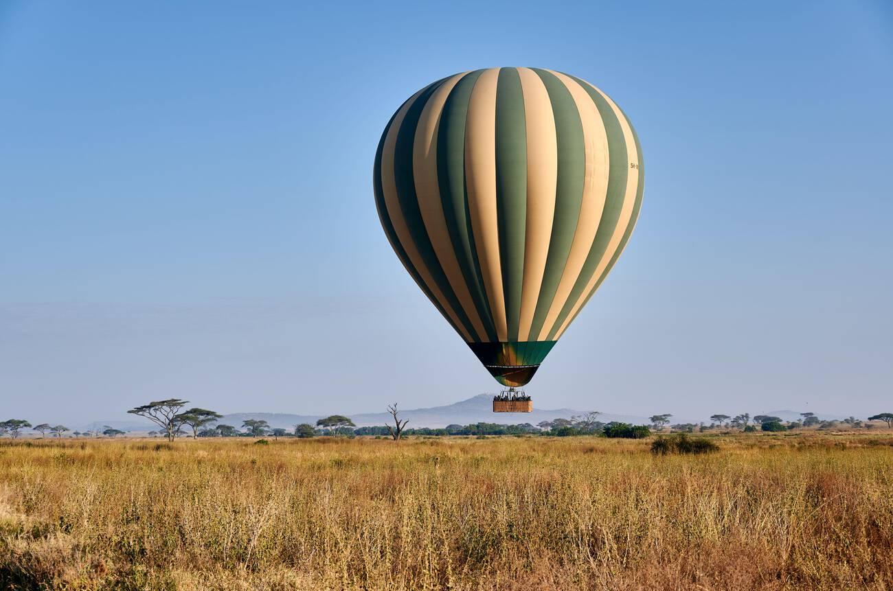 Top 10 Animals You Can See on a Tanzania Safari