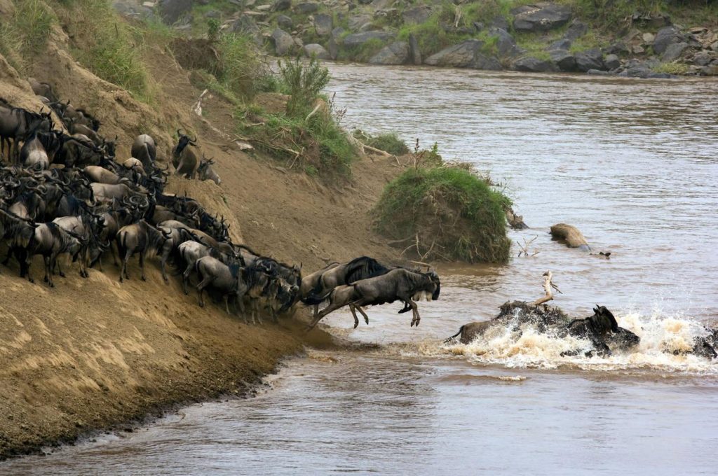 how many days do you need in Serengeti