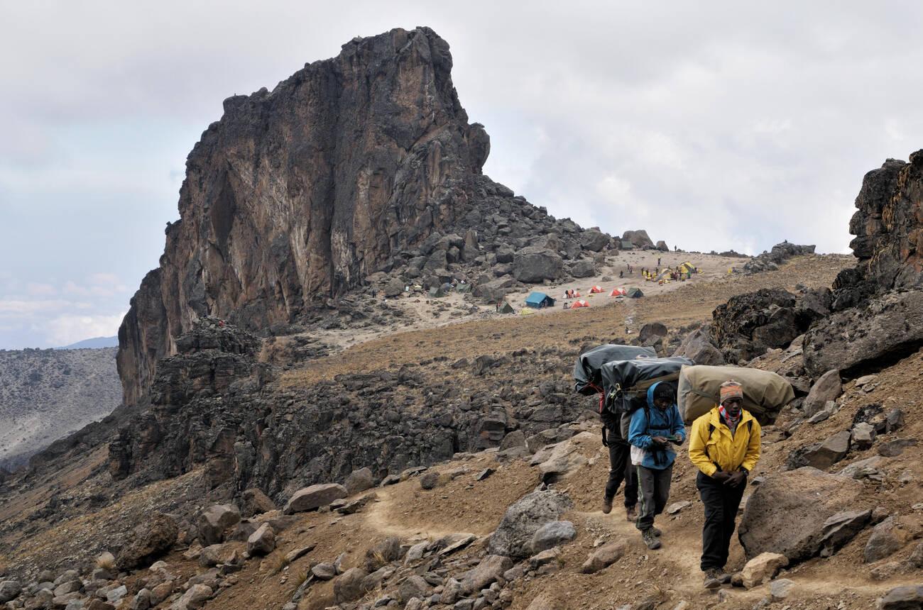 Mount Kilimanjaro day trip