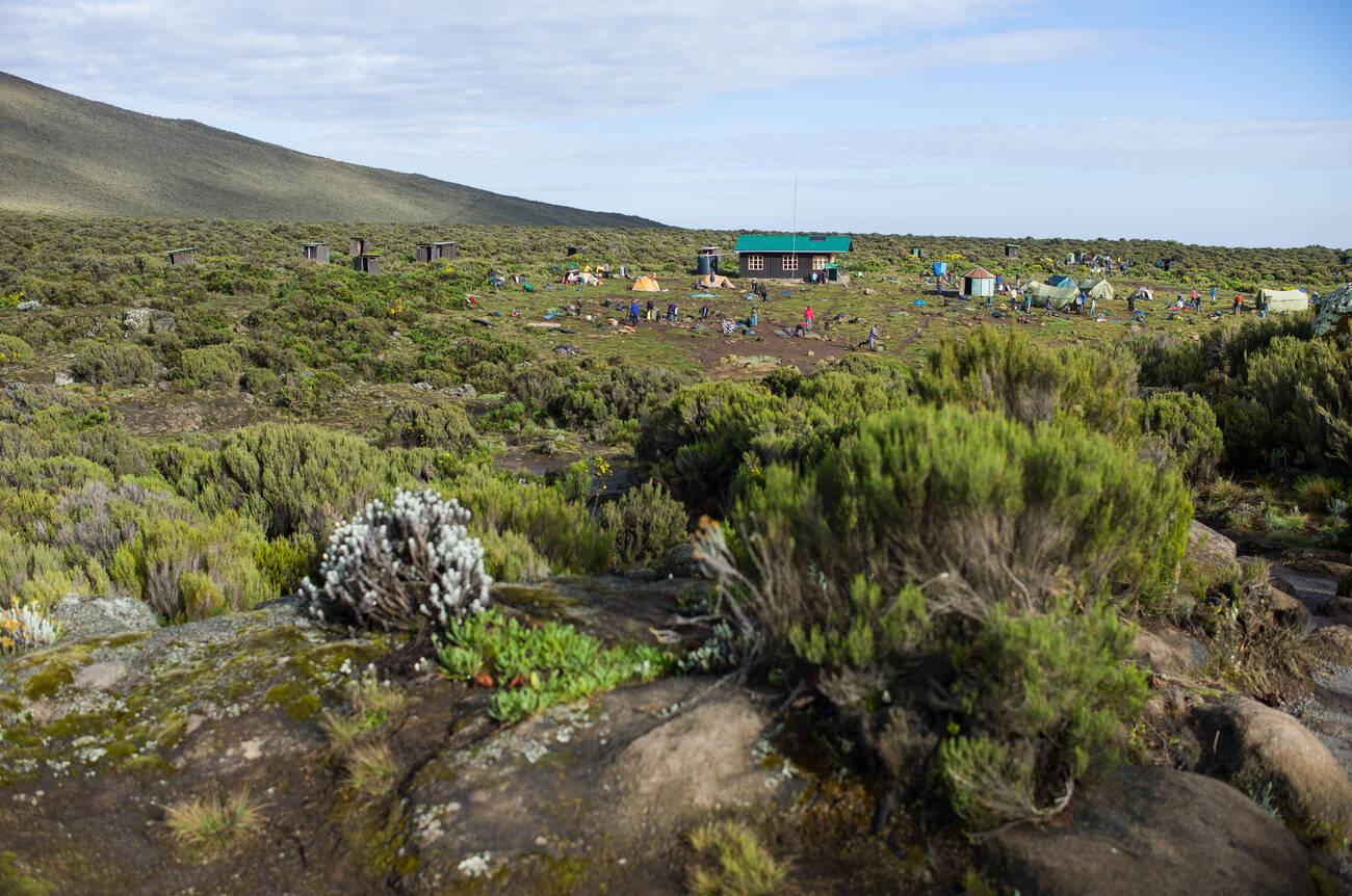 Mount Kilimanjaro day trip