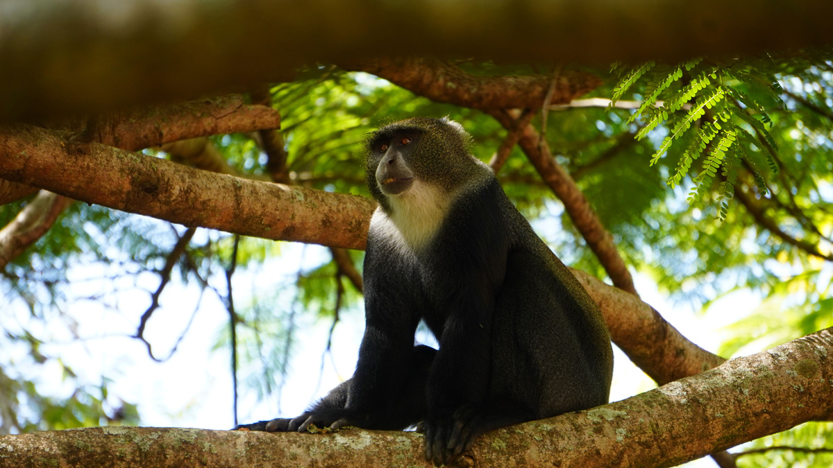 Complete Guide to Arusha National Park